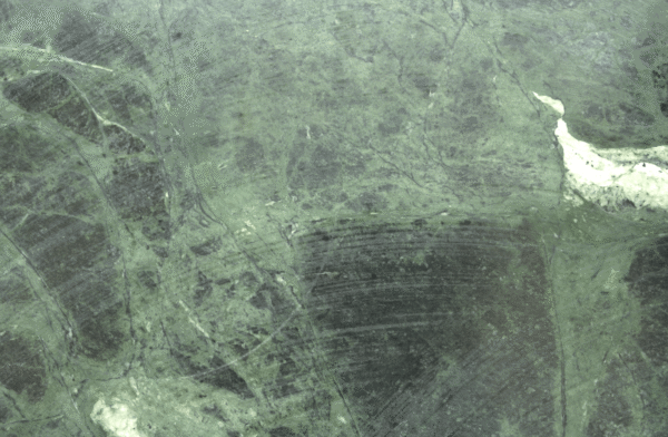 Jungle Green