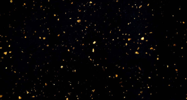 Sparkle Black