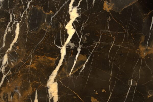 Black & Gold