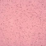 Dream Pink
