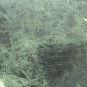Jungle Green